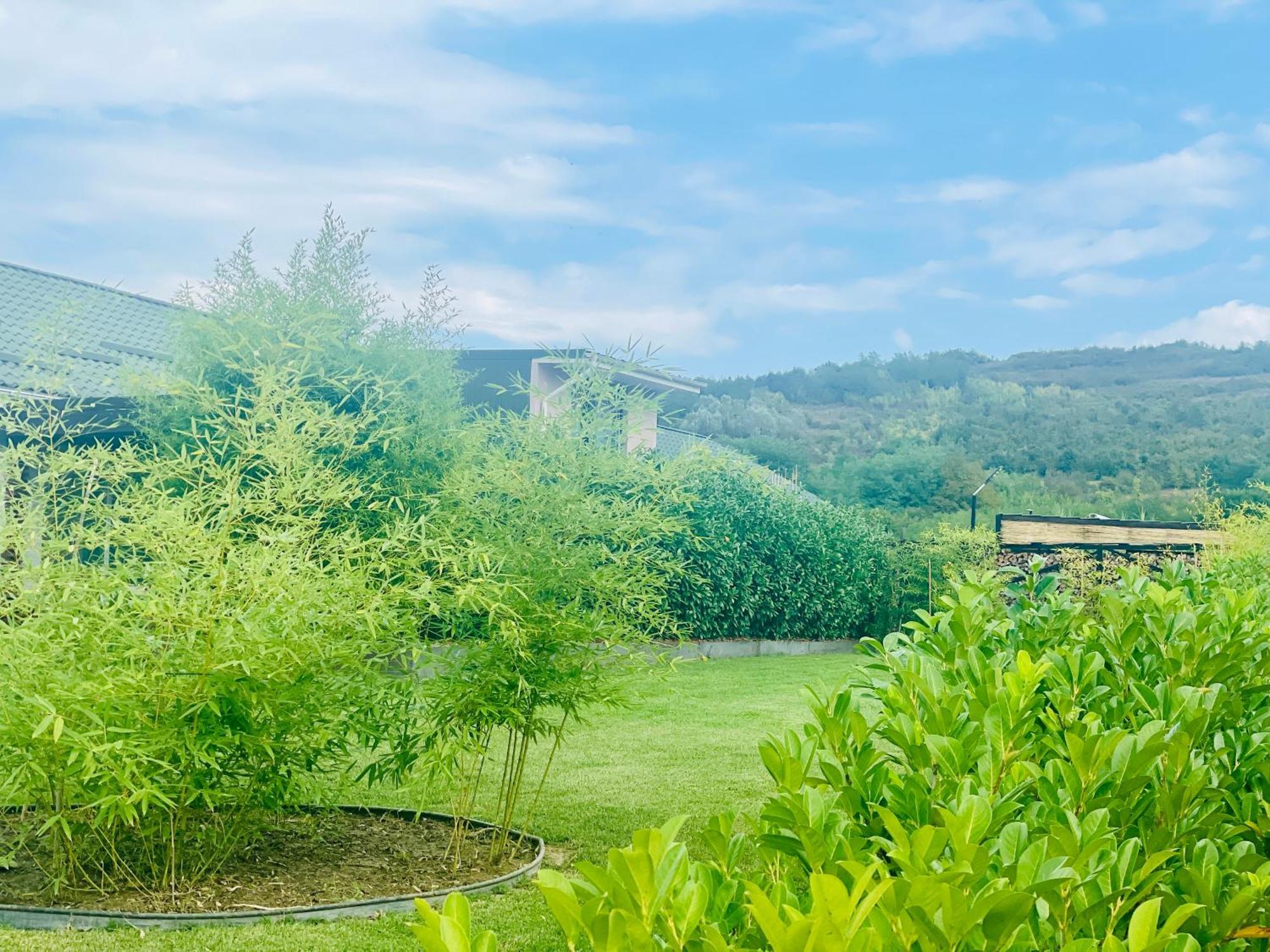 Bambuus Garden & Spa Dragasani Exterior photo